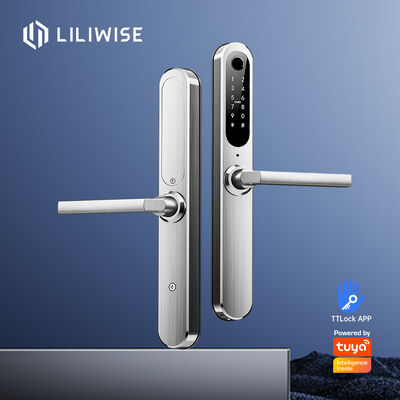 لیلی وایز امنیت سفارشی الکترونیک ضد آب Ip66 قفل دیجیتال Ttlock Tuya Wifi اثر انگشت لغزنده قفل درب هوشمند