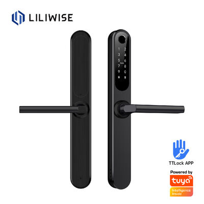 لیلیویس ضد آب الکسا آلومینیوم فولاد Ip66 قفل درب هوشمند اثر انگشت Cerradura Electronica Ttlock قفل هوشمند با وای فای